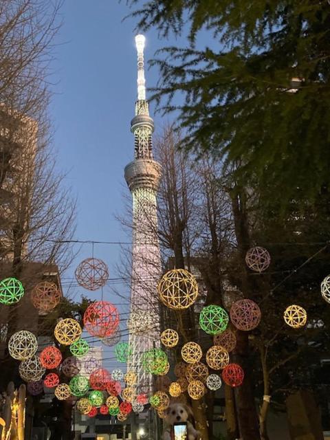 Sky Tree Inn Ⅱ（晴樹宿ⅱ） Τόκιο Εξωτερικό φωτογραφία