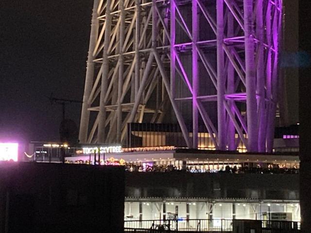 Sky Tree Inn Ⅱ（晴樹宿ⅱ） Τόκιο Εξωτερικό φωτογραφία